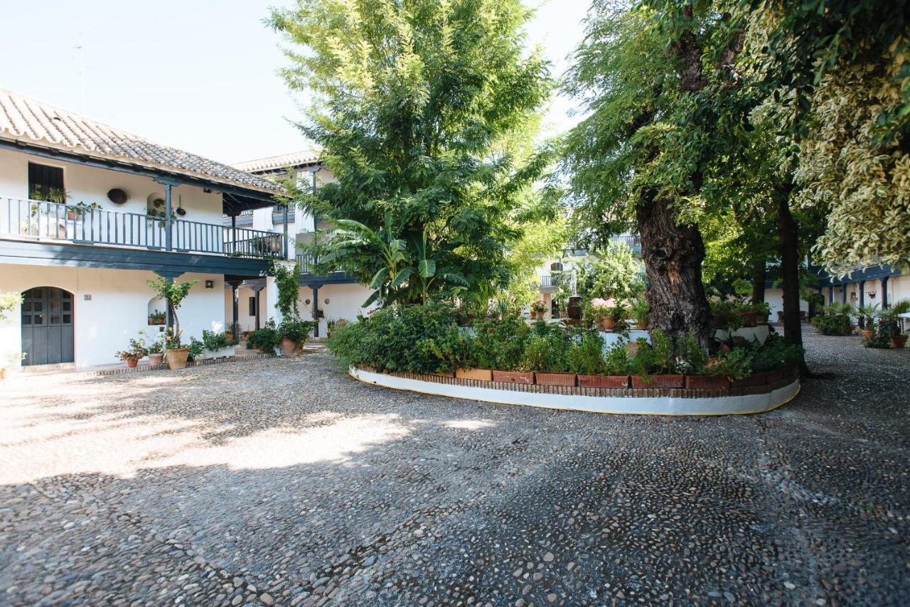 Aitana'S Retreat With Charming Garden Apartamento Sevilha Exterior foto